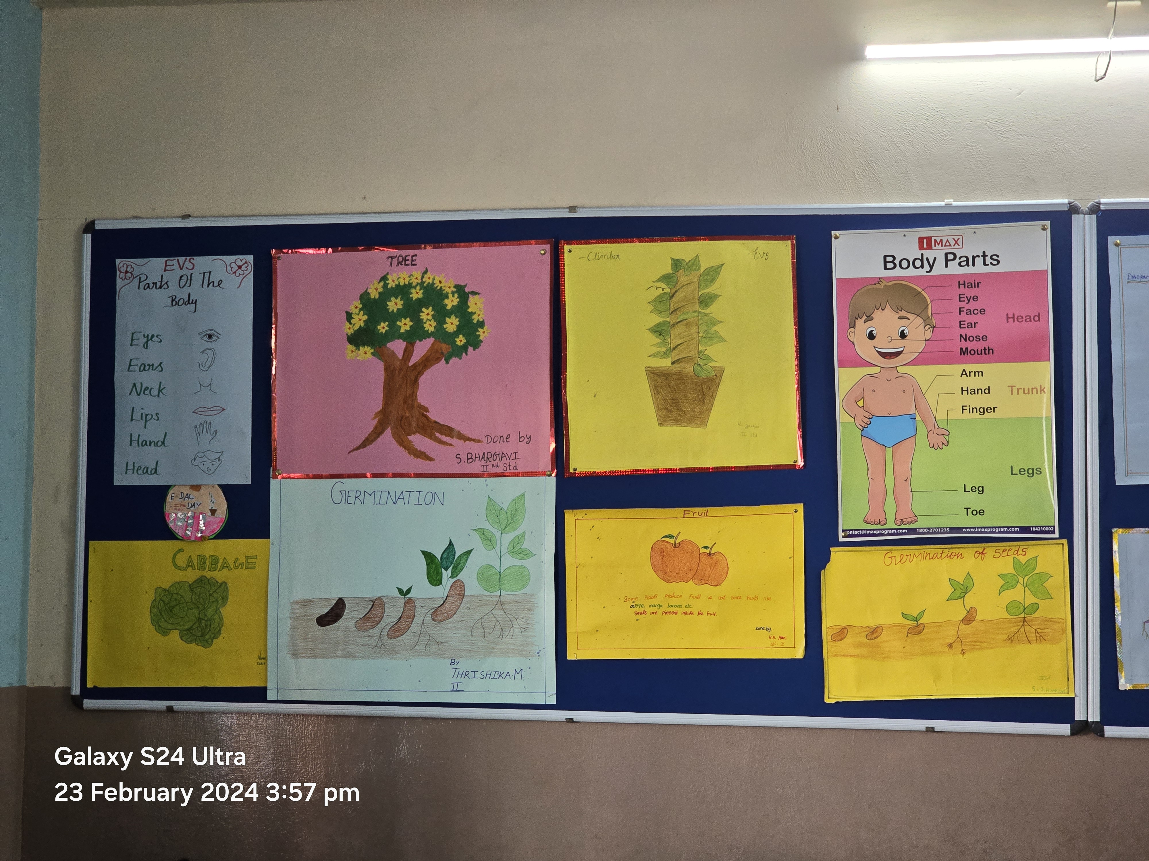 Learning Environment